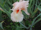 DSCN4197