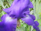 DSCN4202