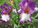 DSCN4203