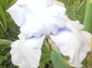 DSCN4205