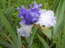 DSCN4207