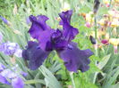 DSCN4217