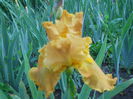 DSCN4218