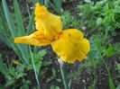 DSCN4223