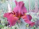 DSCN4226