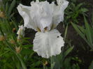 DSCN4227