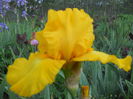 DSCN4228