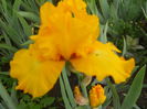 DSCN4229