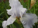 DSCN4240
