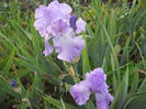 DSCN4242