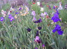 DSCN4243