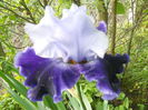 DSCN4248