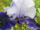 DSCN4249