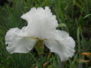 DSCN4252