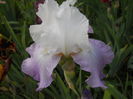 DSCN4256