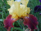 DSCN4257
