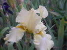 DSCN4260