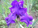 DSCN4271