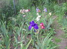 DSCN4272