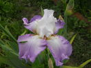 DSCN4278