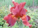 DSCN4282