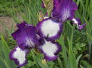 DSCN4285