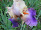 DSCN4286