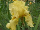 DSCN4288