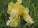 DSCN4289