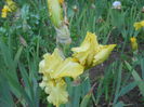 DSCN4290