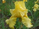 DSCN4291