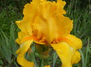 DSCN4294
