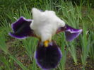 DSCN4297