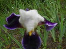 DSCN4298