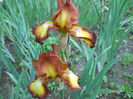 DSCN4299