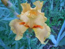 DSCN4301