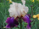 DSCN4303