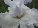 DSCN4304