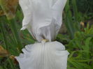 DSCN4308