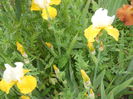 DSCN4312