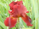 DSCN4313