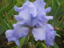DSCN4315