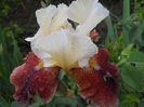 DSCN4329