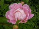 DSCN4330