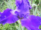 DSCN4333
