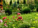 Heidetraum