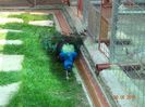 DSC09677