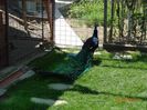 DSC09693
