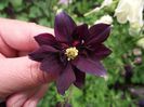 DSCF9202