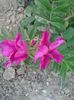 20150603_165215